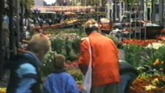1987 Nieuwsflits mei – Hoorn: Geraniummarkt