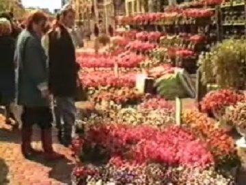 1986 Hoorn: Geraniummarkt aan de Ramen