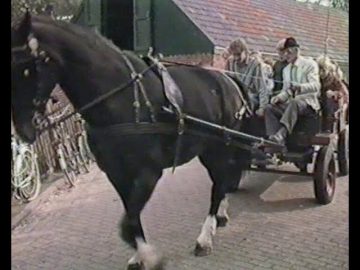 1987 Hoorn: De Woid – Dierendag