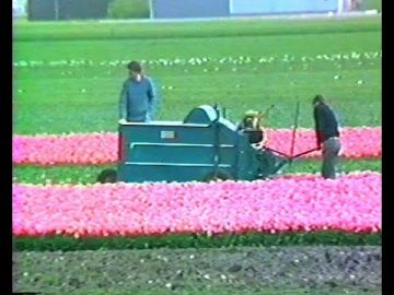 1989 West-Friesland : Groeten uit West-Friesland