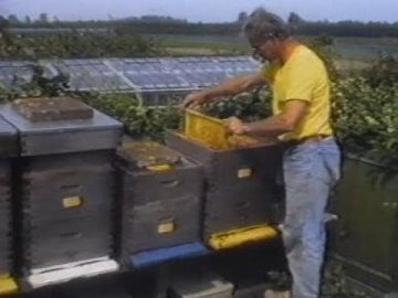 1992 Benningbroek : Klaas Verlaat – Kanaries en imkerij