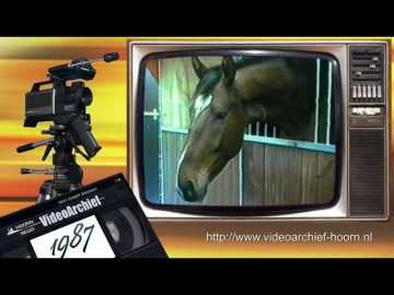 1987 Nibbixxwoud: Manege Catharina – Laatste paardenevenement
