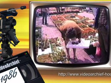 1986 Hoorn: Ramen – Geraniummarkt