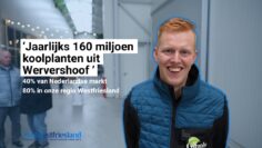 Veel kijkers bij open dag Plantenkwekerij Gitzels in Wervershoof